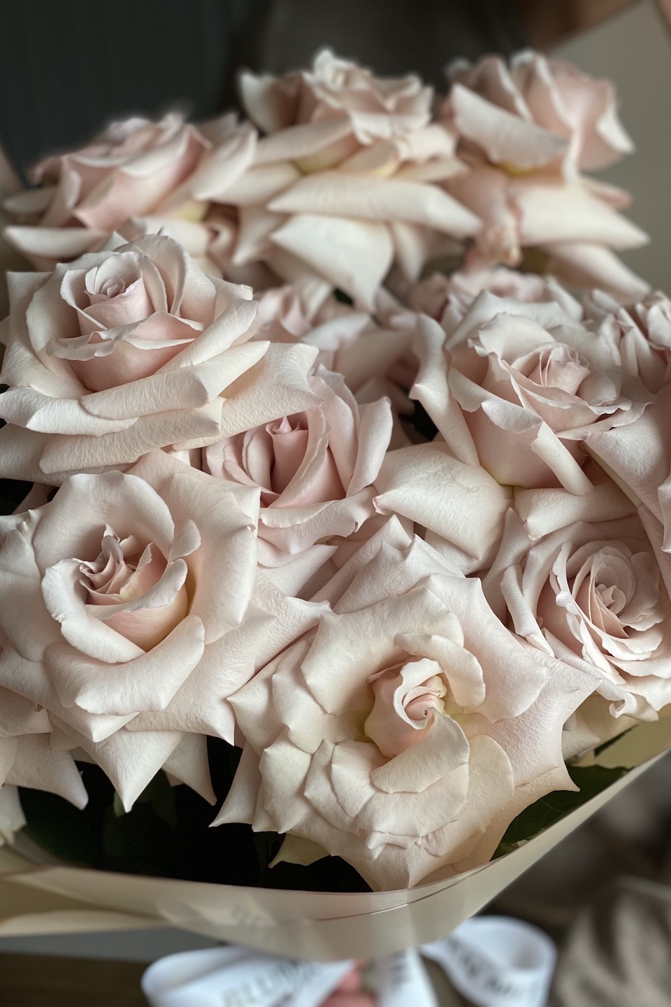 Daisy Mono Strauß "Quicksand"