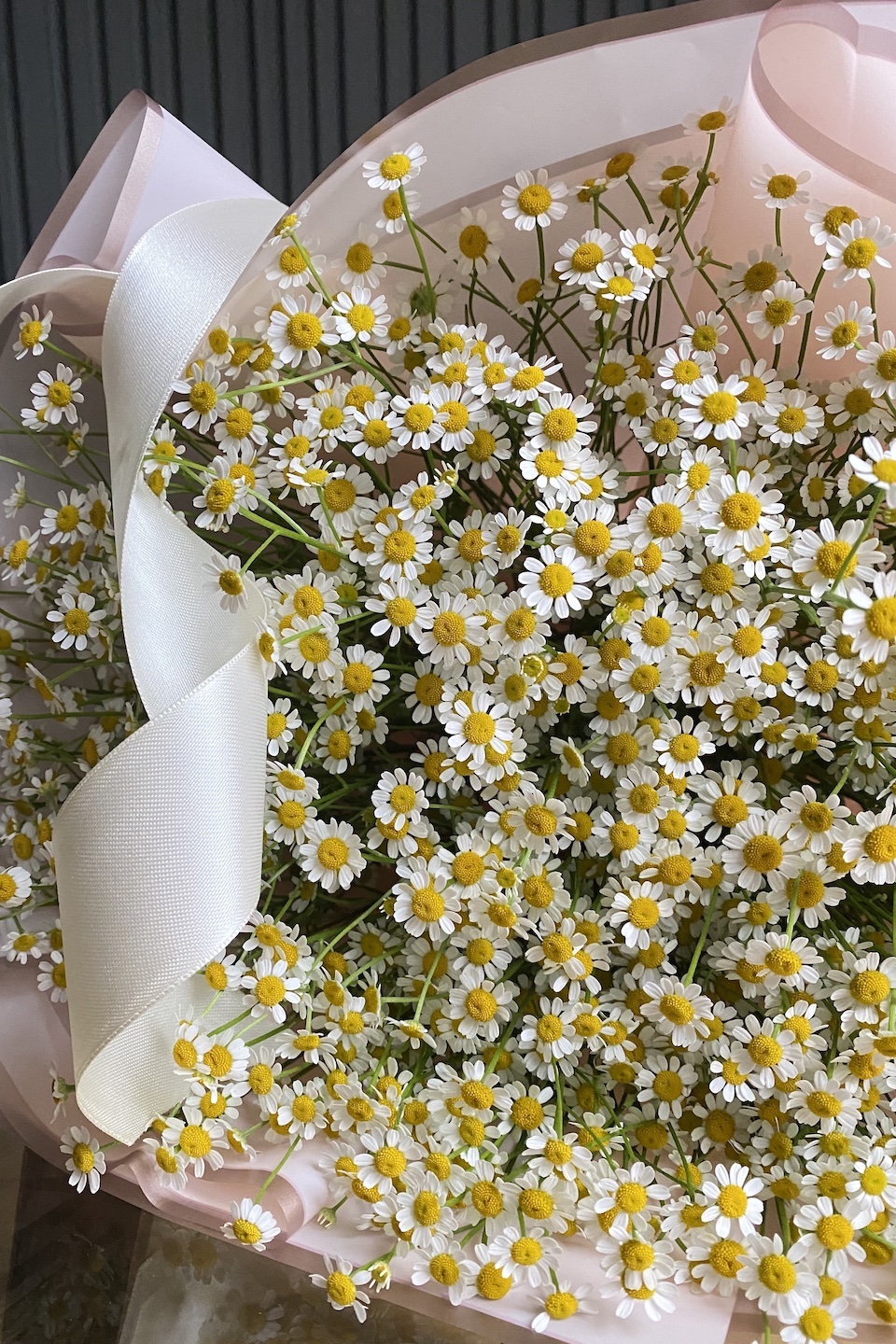 Daisy Mono Strauß "Hallo, Kamillen"