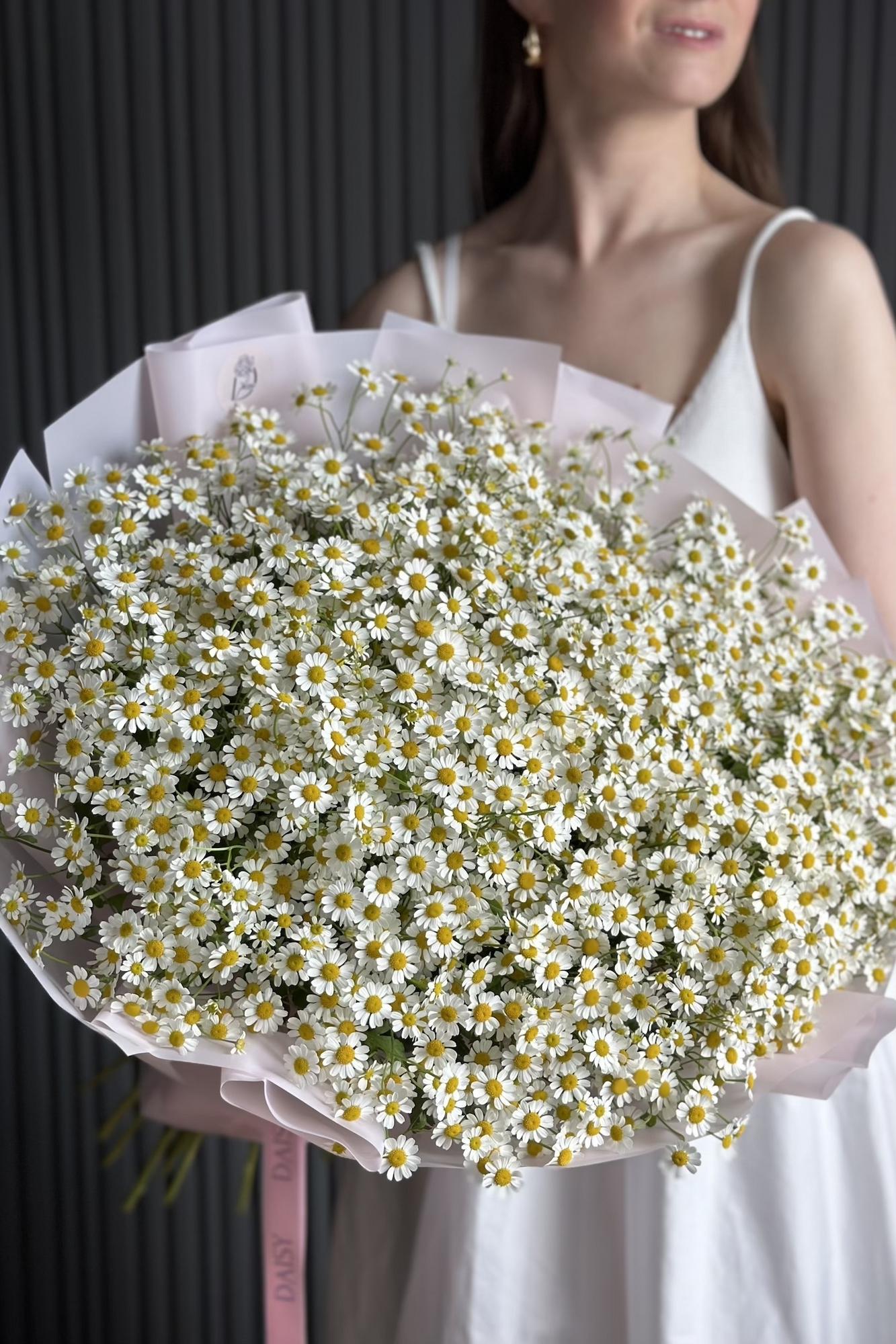 Daisy Mono Strauß "Hallo, Kamillen"