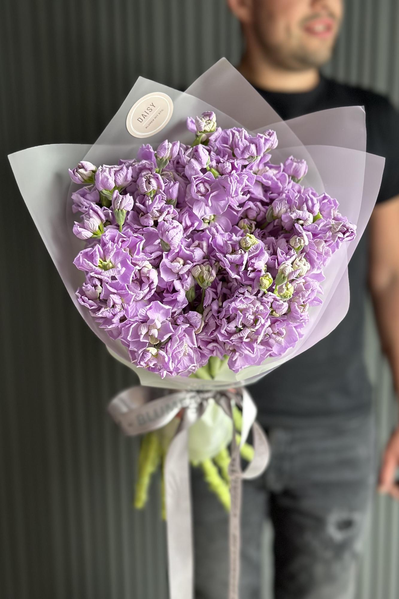 Daisy Mono Strauß "Matthiola-Wolke"