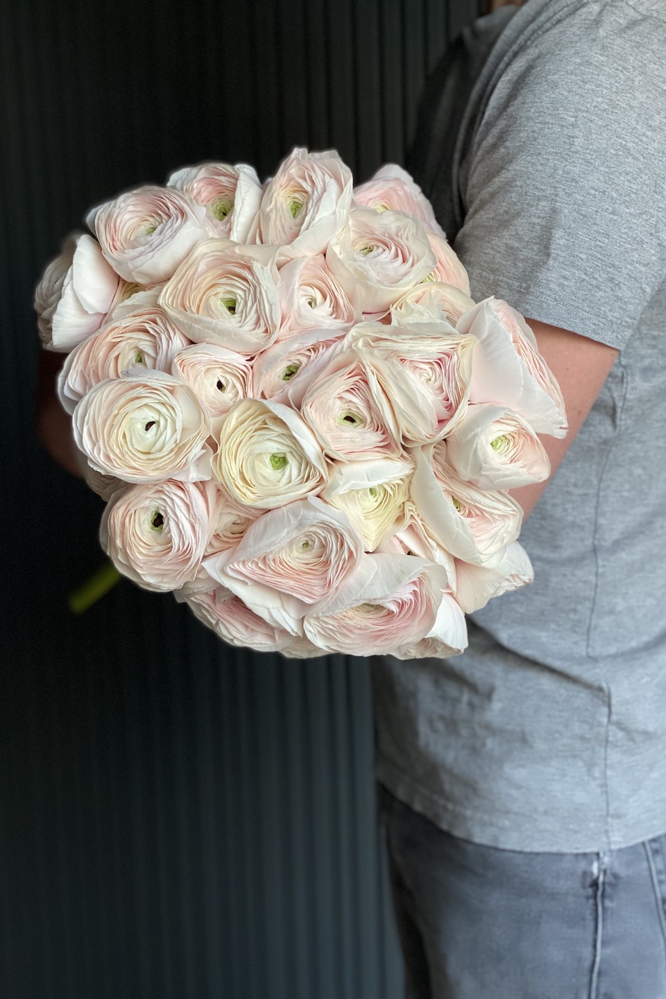 Daisy Mono Strauß "Milkshake"