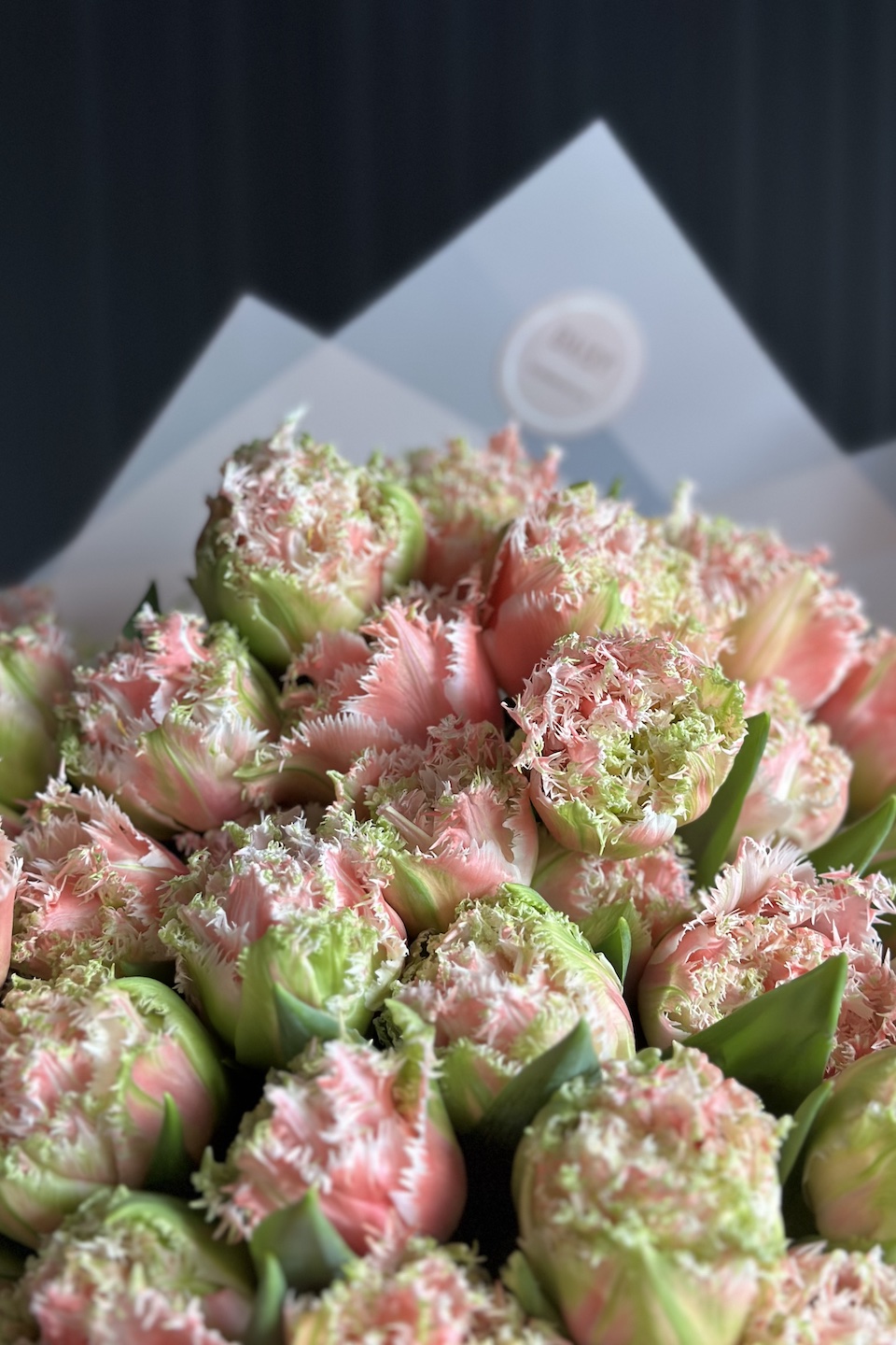 Daisy Mono Strauß "You are my queen"