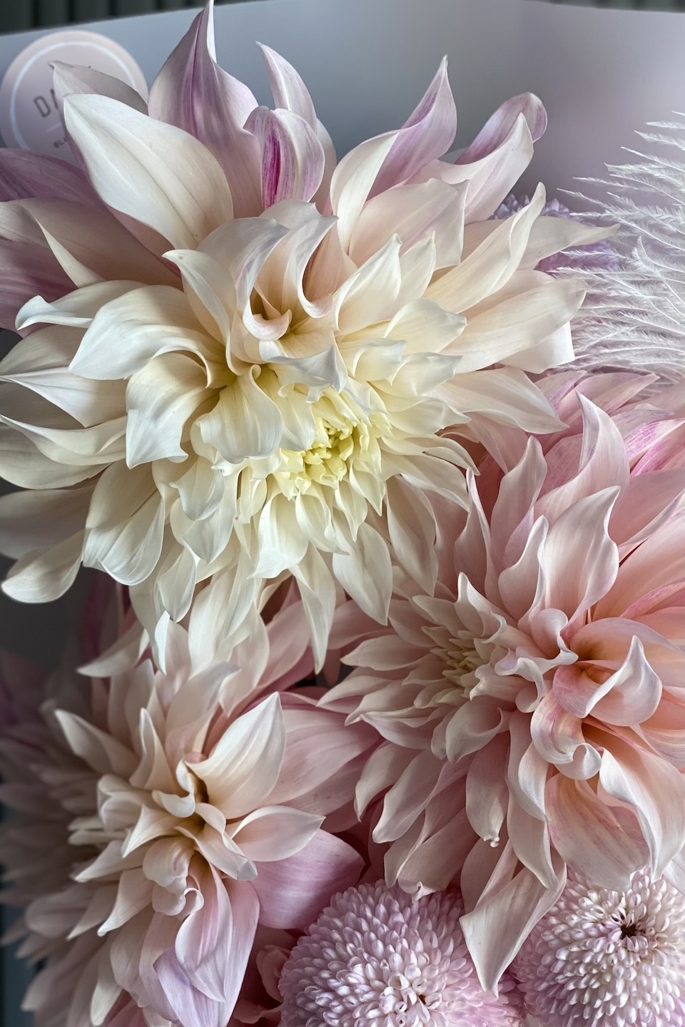Daisy Special Strauß "Dahlia Tenderness"
