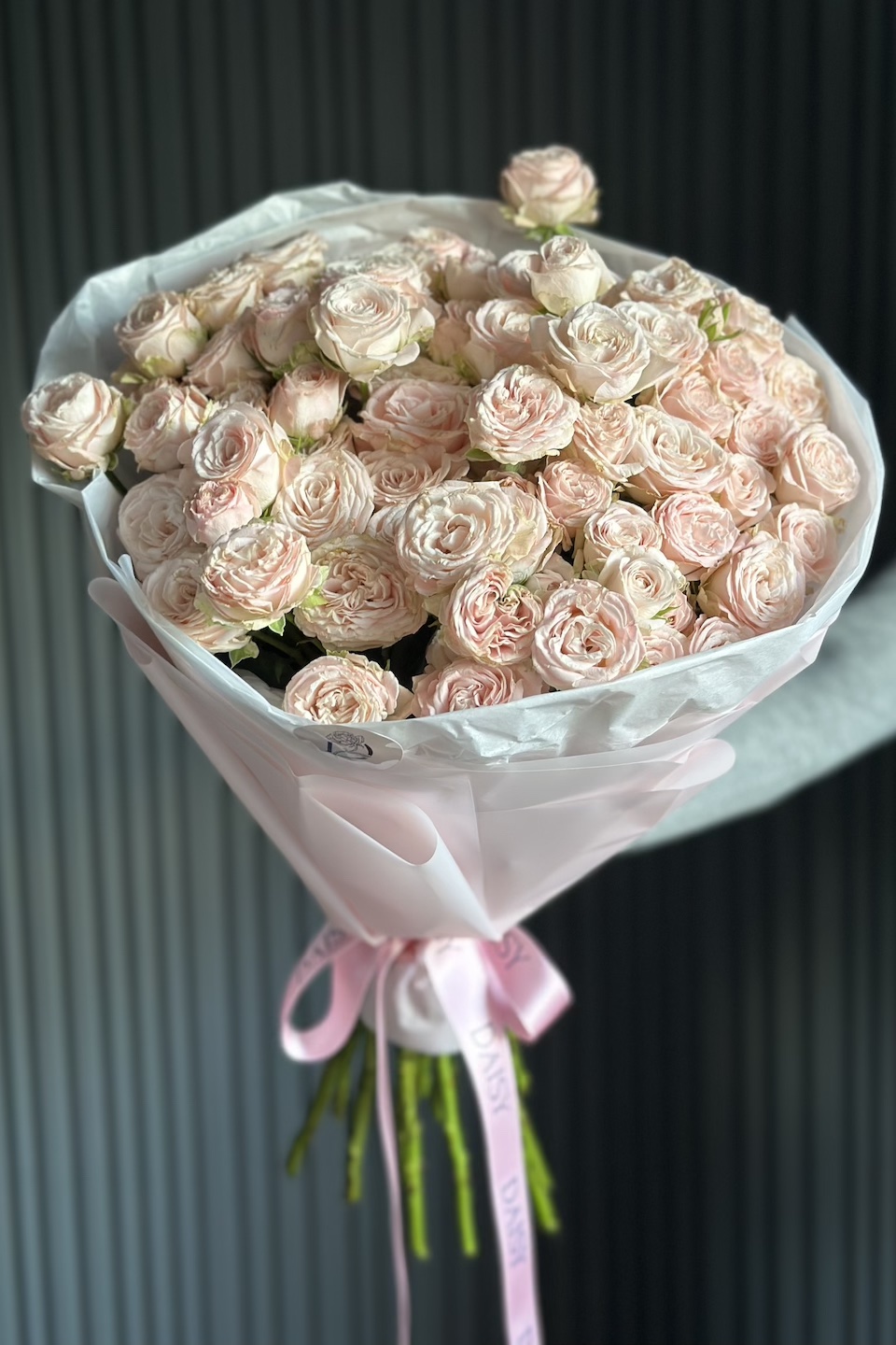 Daisy Mono Strauß "Puder"