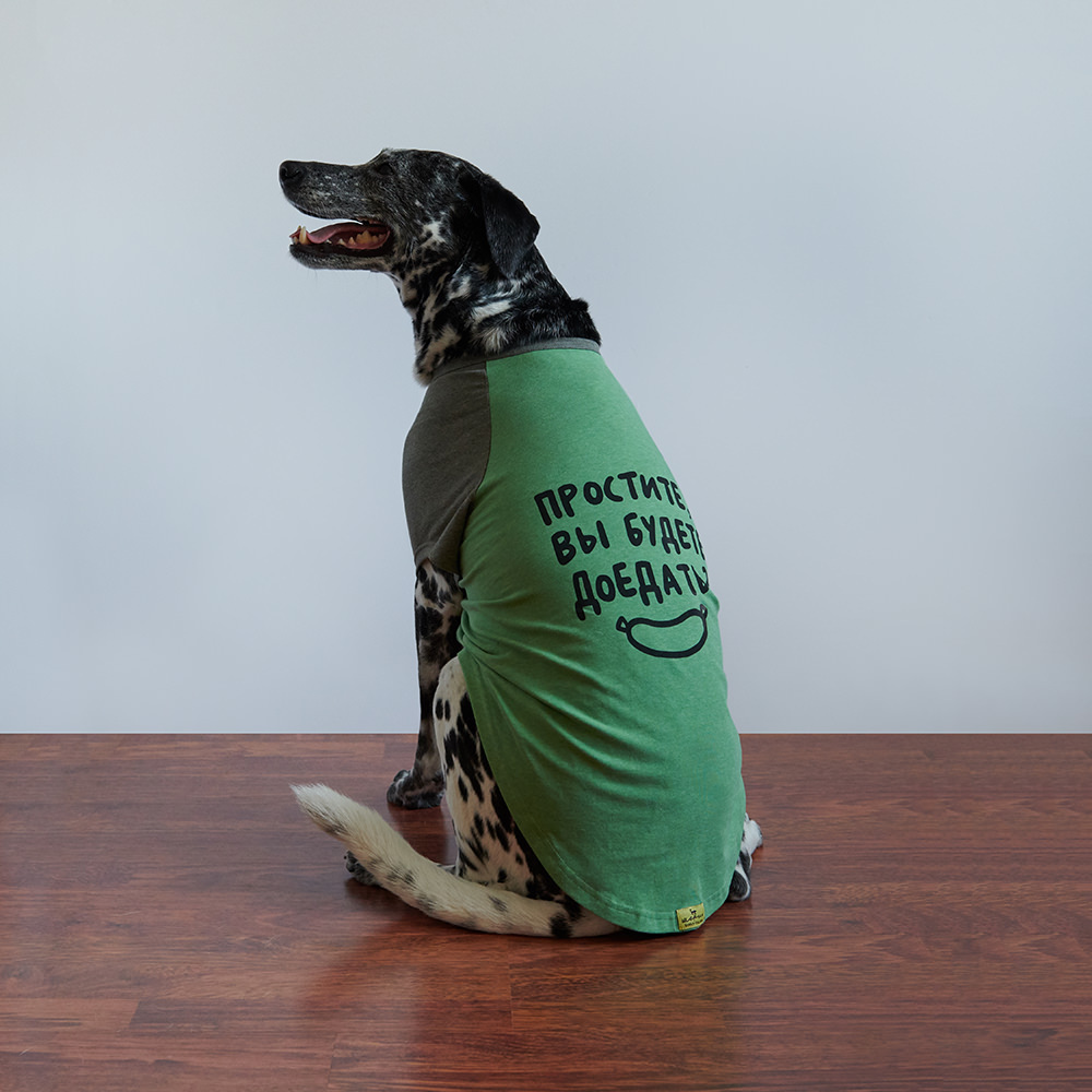 Одежда для собак пошив на заказ