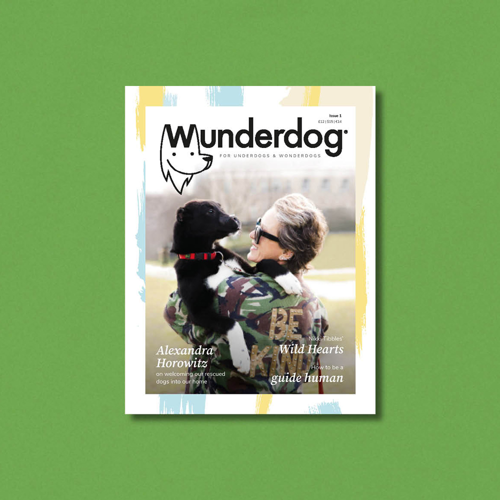 ♥ КНИГИ о собаках (и котиках) > Журнал WUNDERDOG (1-й номер) купить в  интернет-магазине