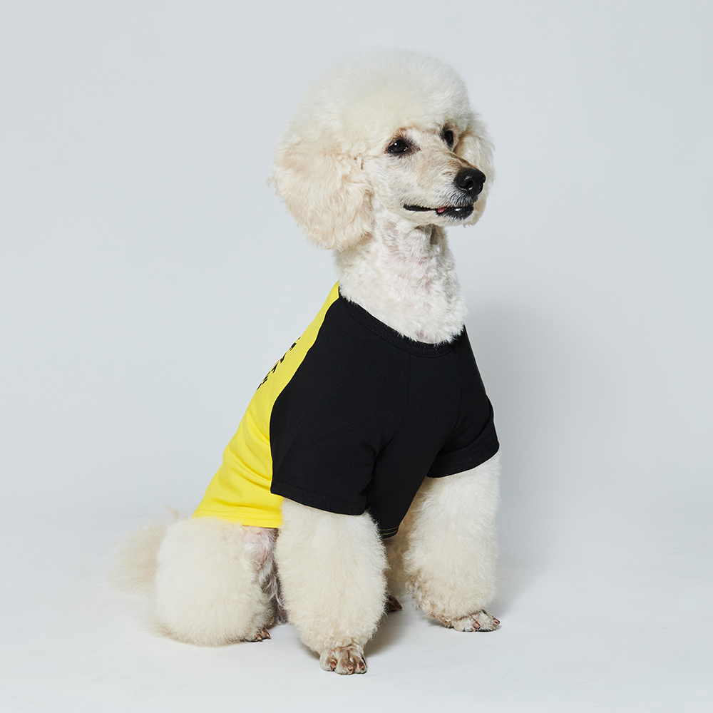 Продажа домашних животных - футболка для собак