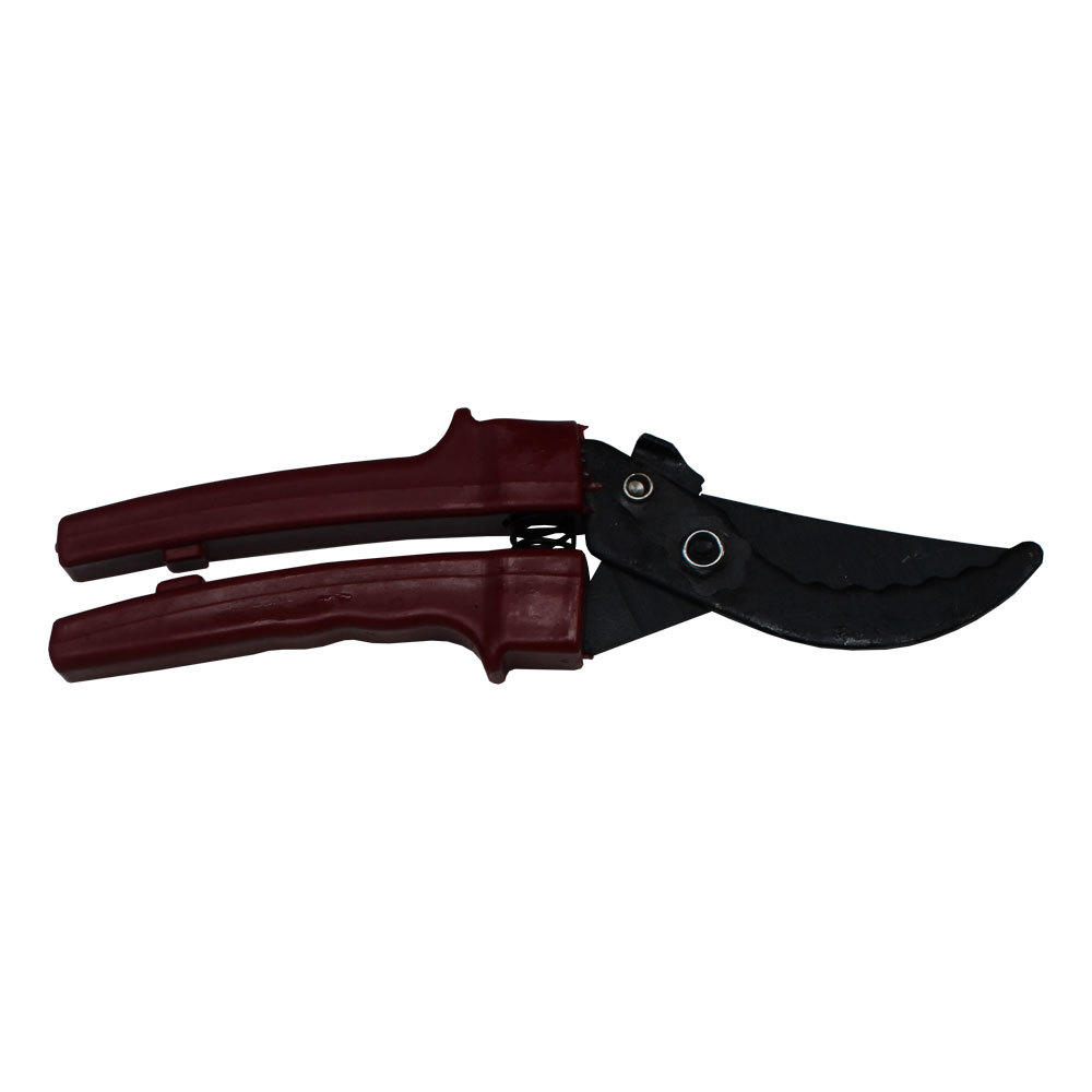 Секатор китайский