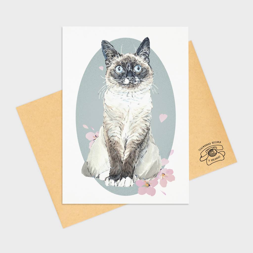 Поздравительные открытки на день рождения кота