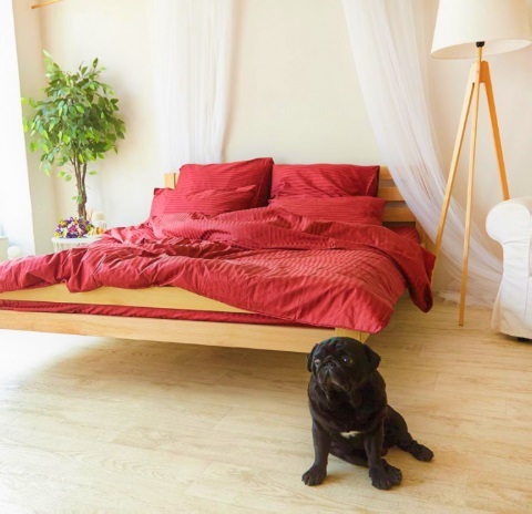 постельное белье страйп-сатин красного цвета