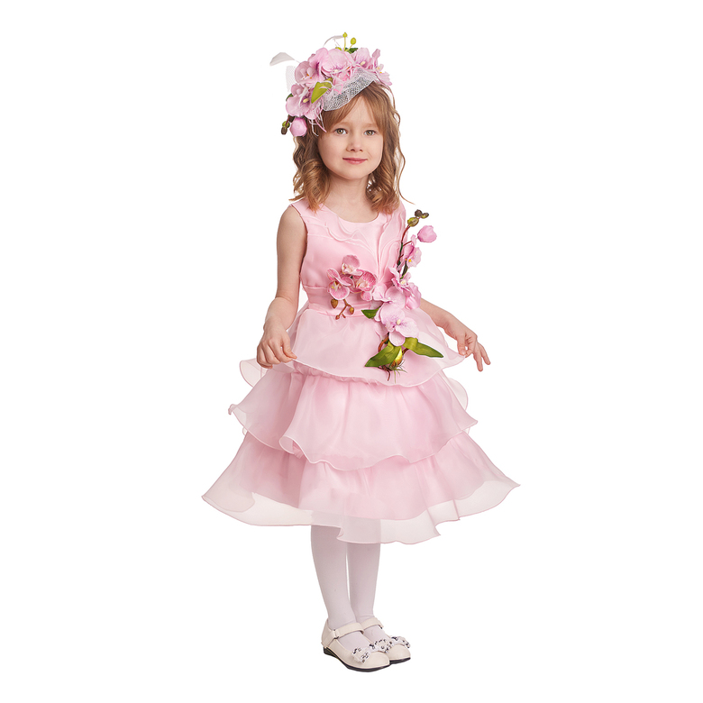 ОРХИДЕЯ МАЛАЯ