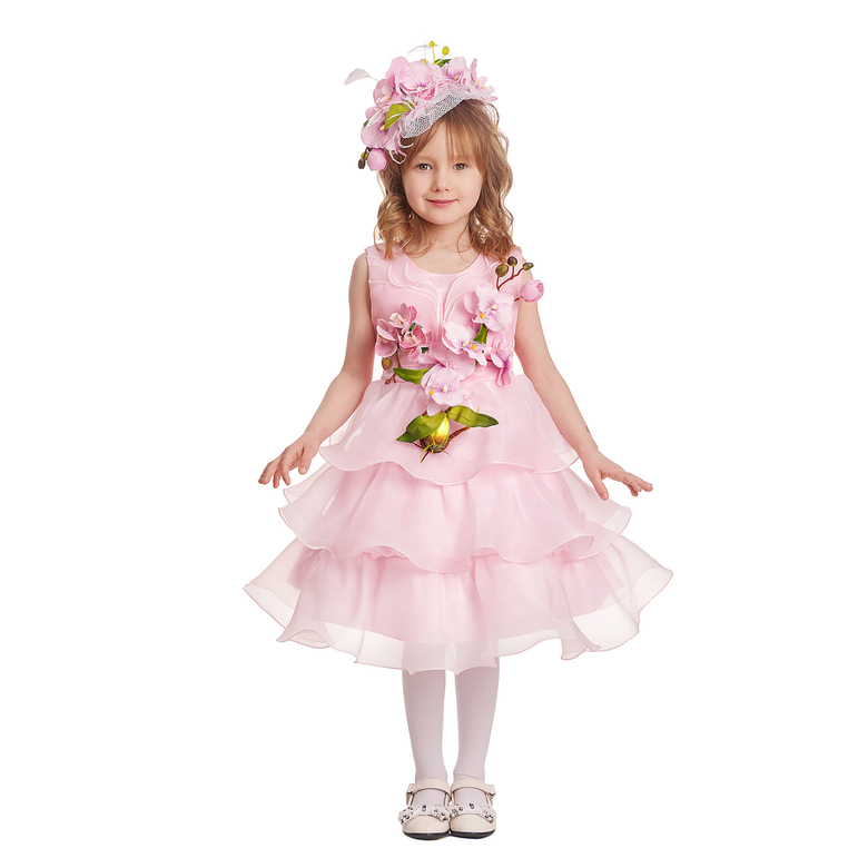 ОРХИДЕЯ МАЛАЯ