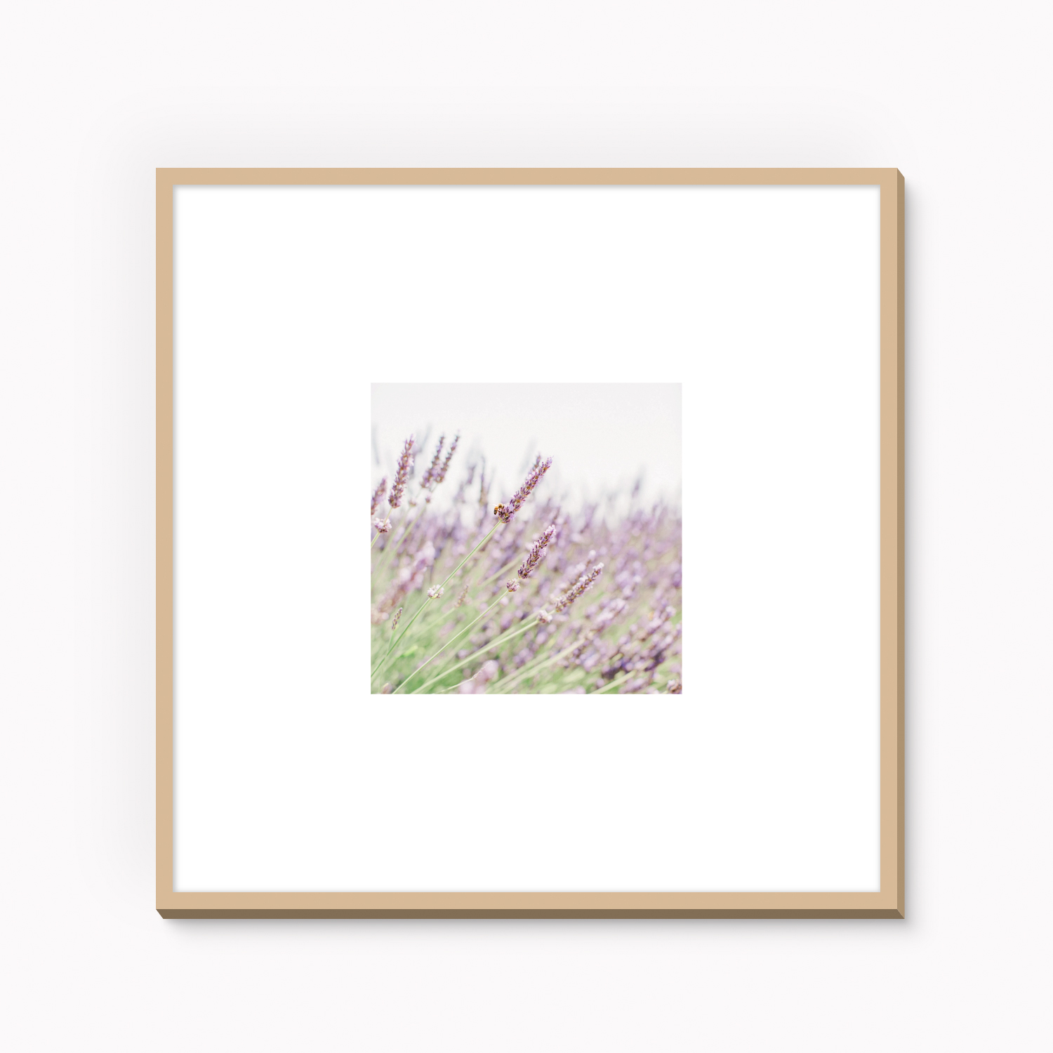 Framed fine art photography print of lavender field in Provence