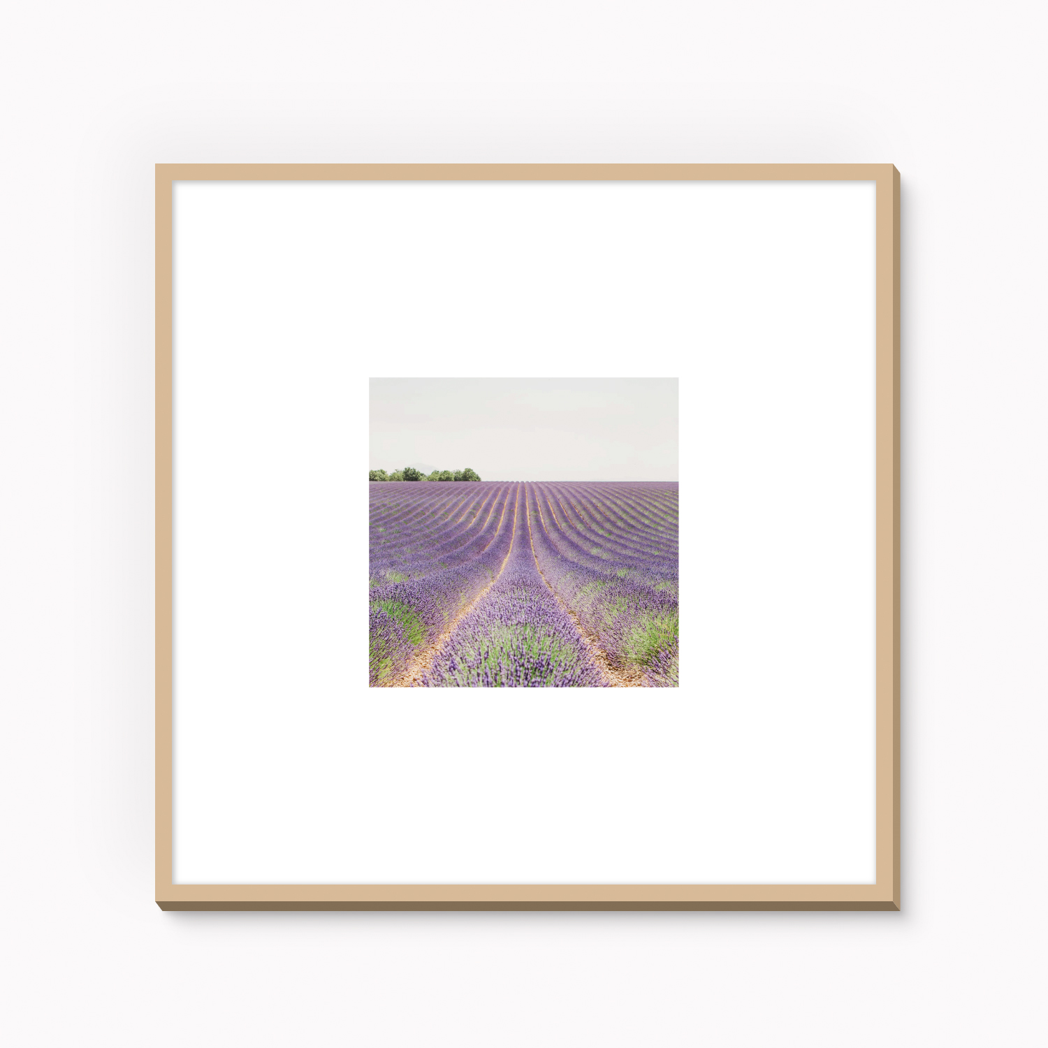 Framed fine art photography print of lavender field in Provence