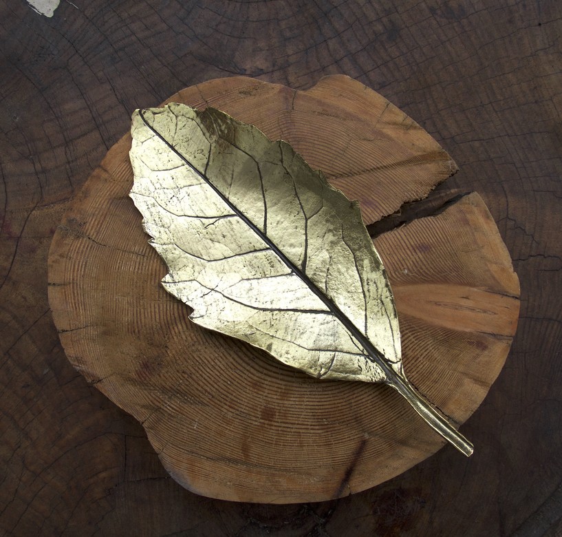 Декоративный элемент - decorative element - "Botanik"