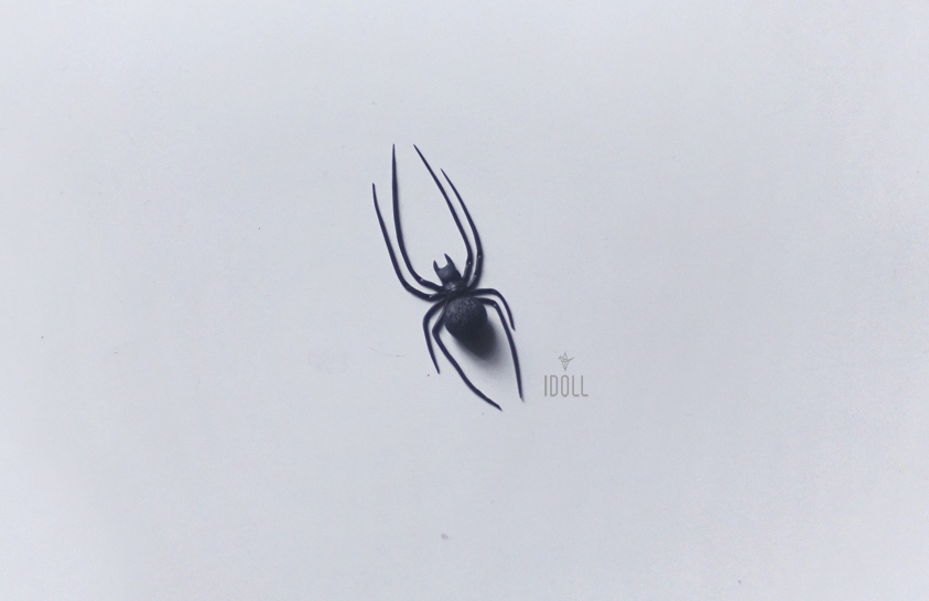 Черный паук картинка