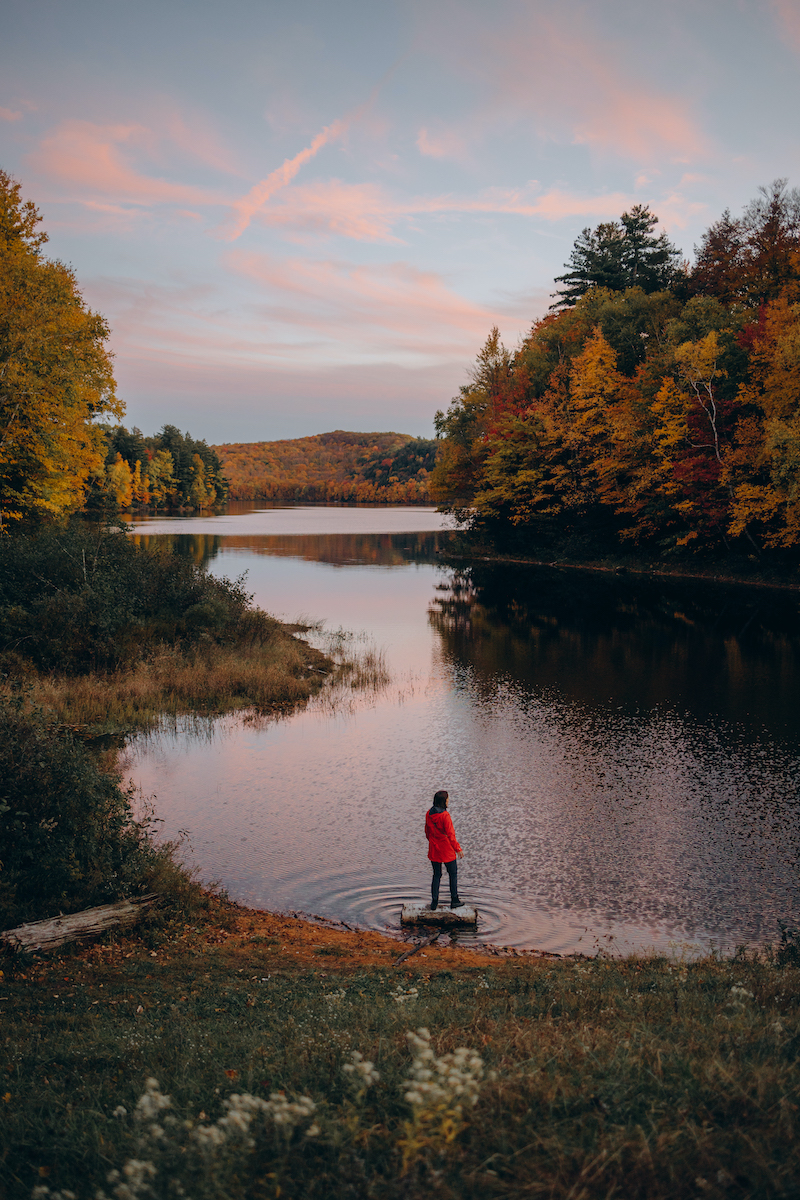 Forest girl, Vermont