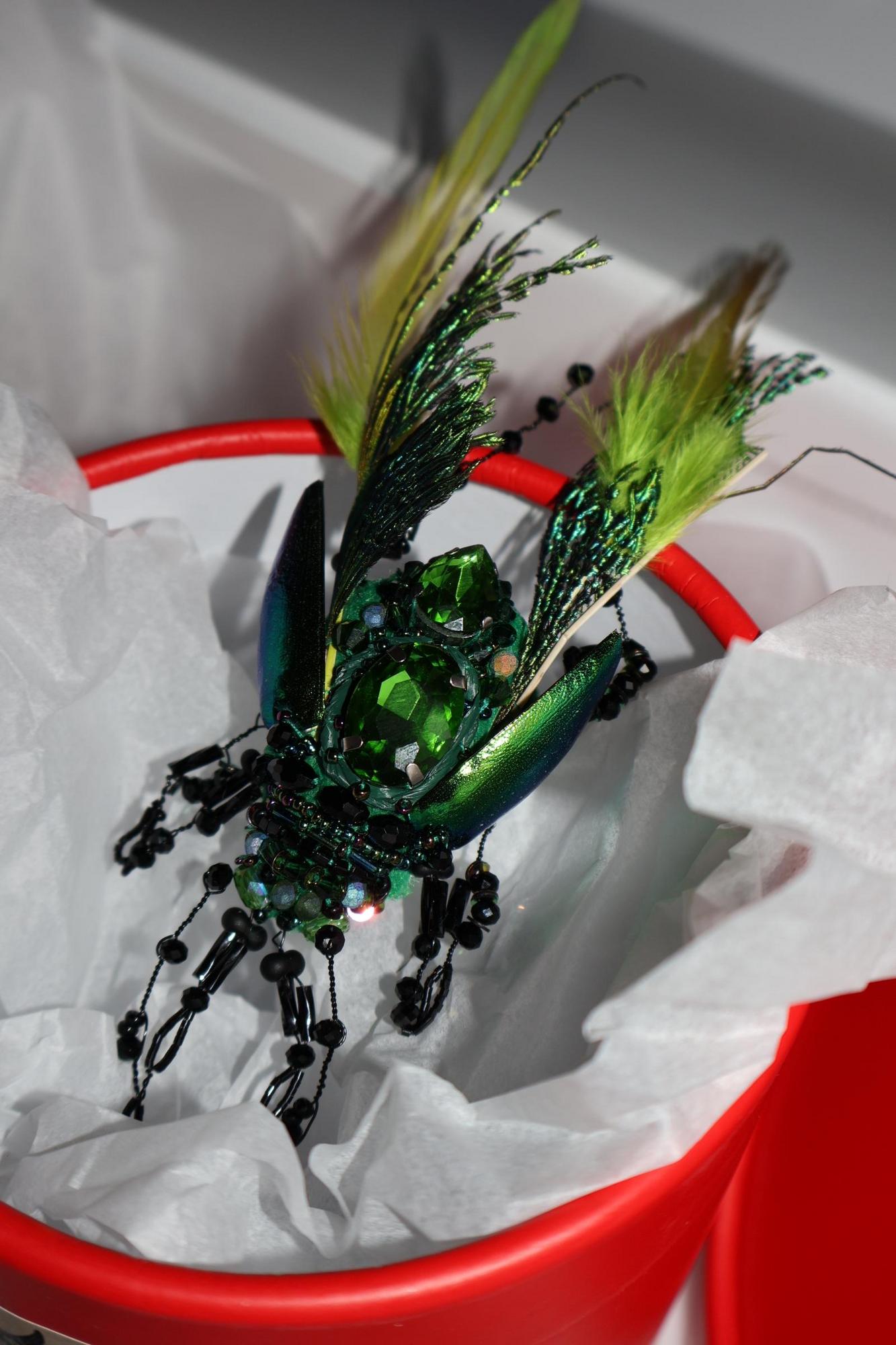 Beetle Earrings