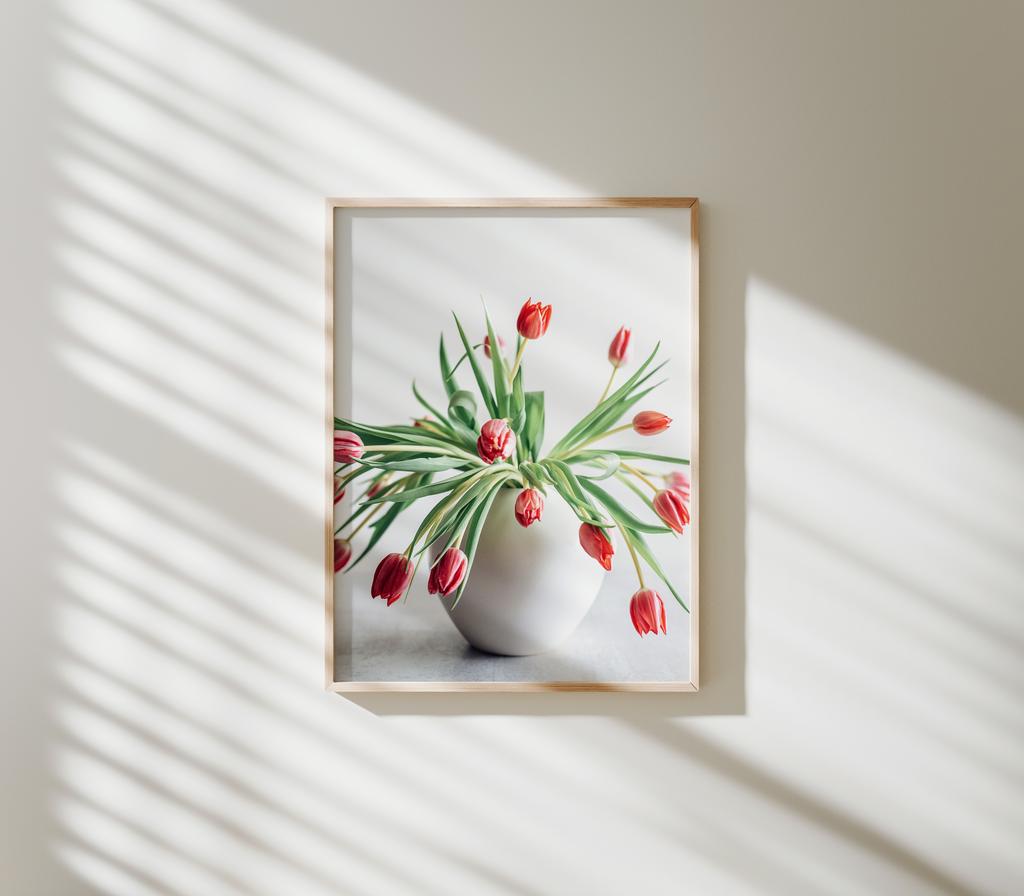 Tulips