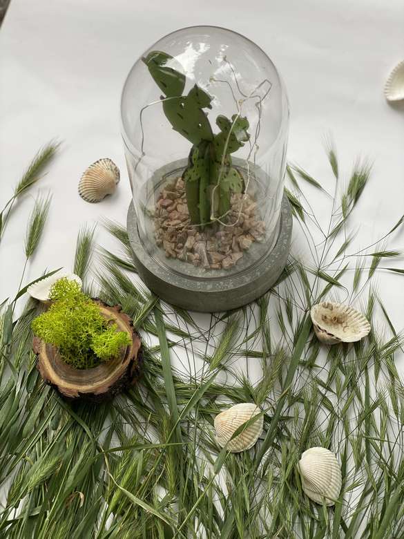 Банка микролед "Кактус"