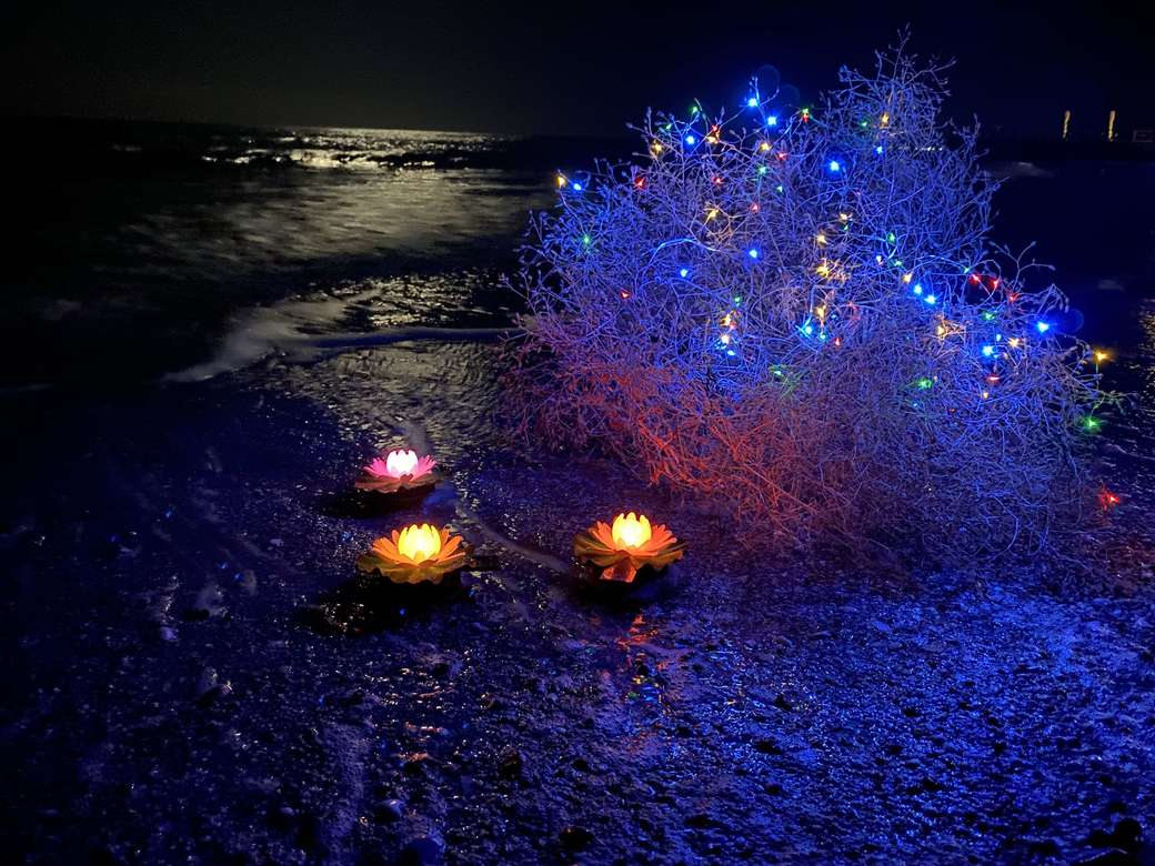 Гирлянда микролед -  цепь "Солнечная коллекция"