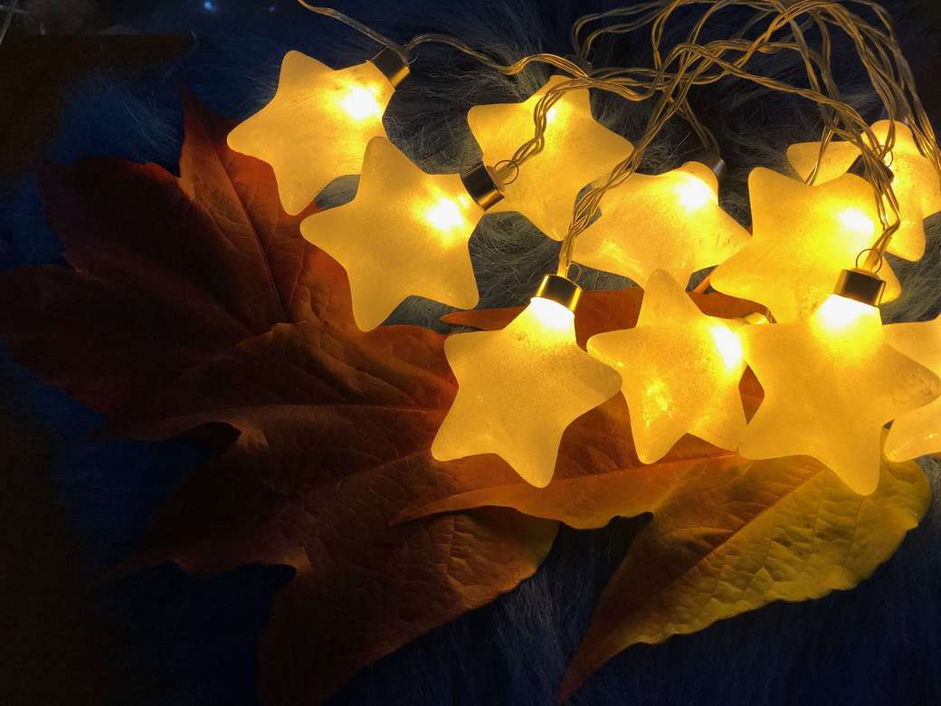 Морские звезды