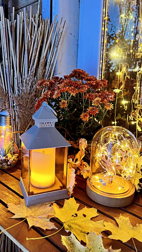 Фонарь с живым огнем