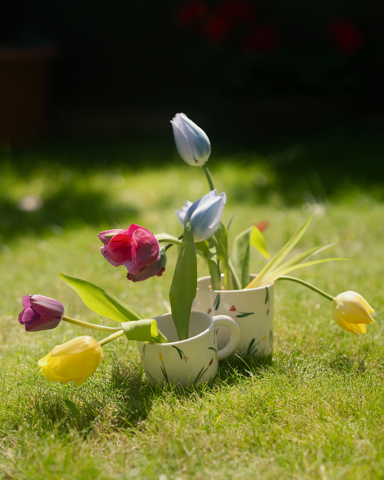 Flora collection cups