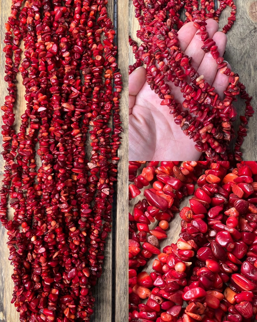 Коралл сколы