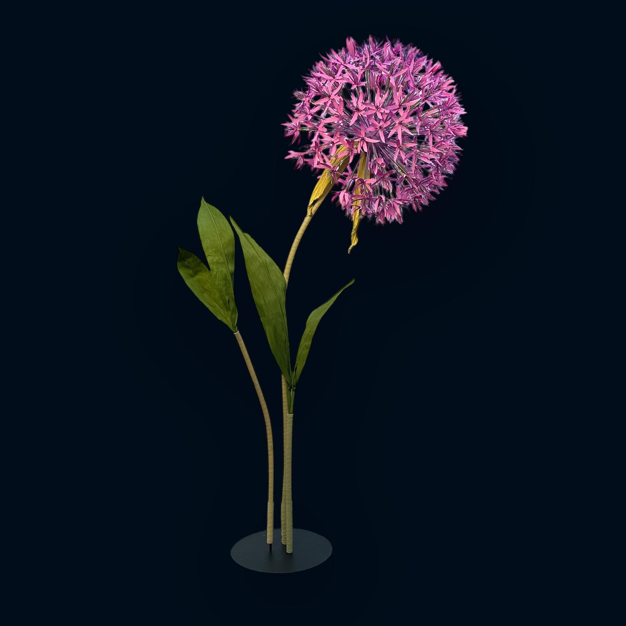 Аліум ліловий ростовий FG-002