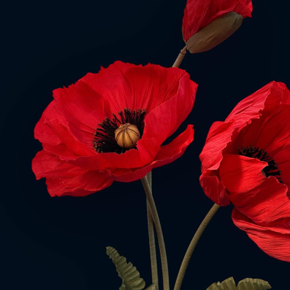 Мак червоний ростовий FG-005