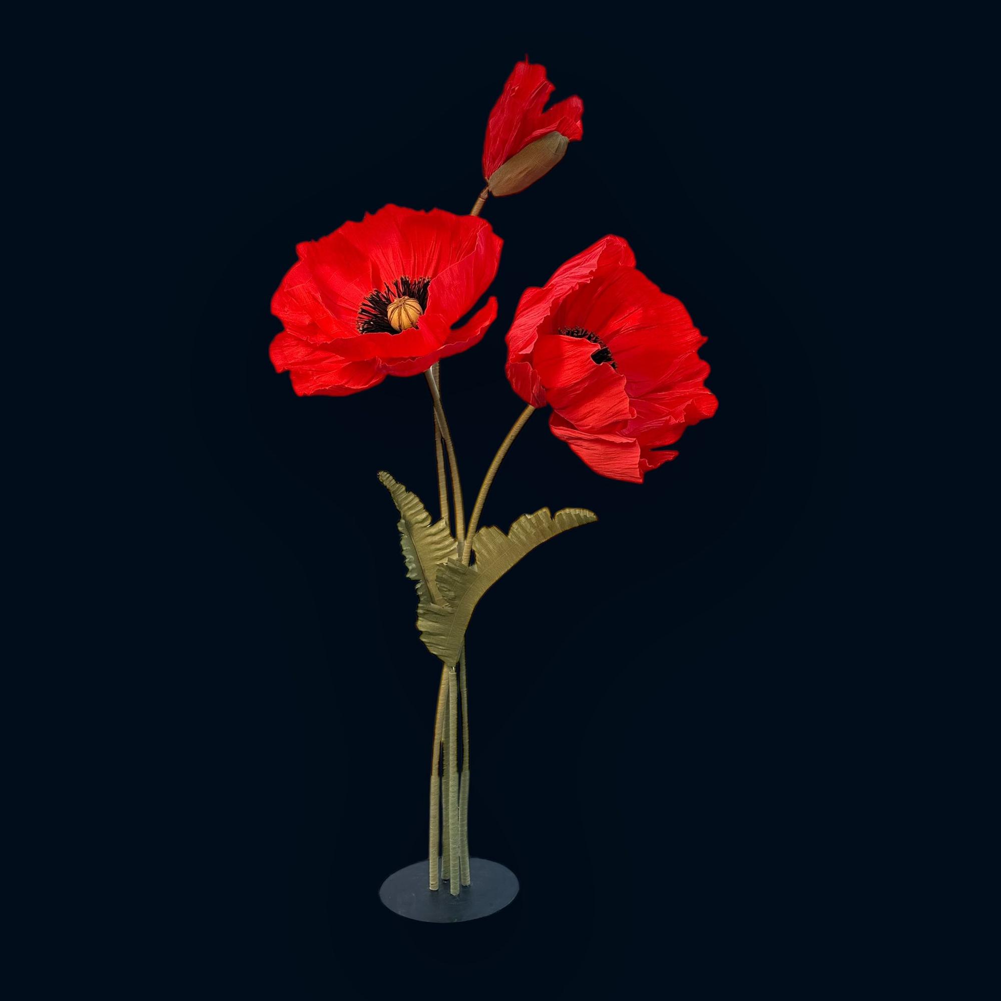 Мак червоний ростовий FG-005