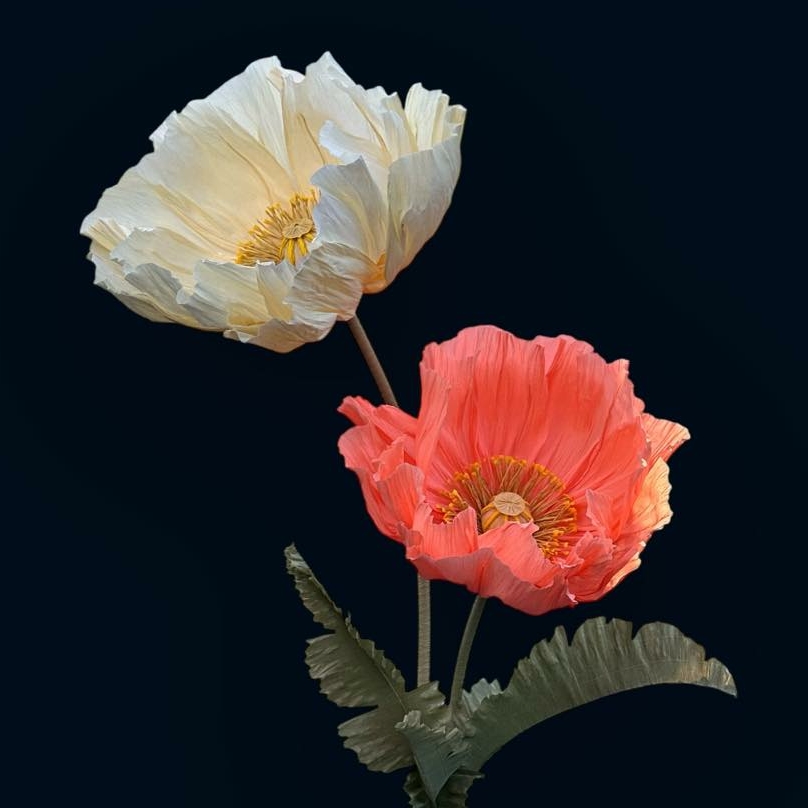 Мак кораловий/ванільний ростовий FG-006