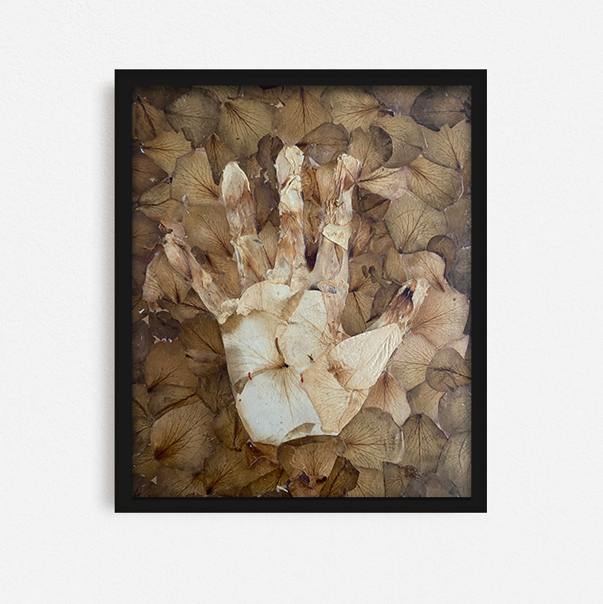 HAND