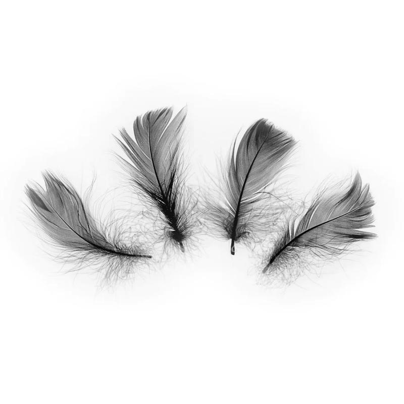 Spalvas melnas, 50 gab