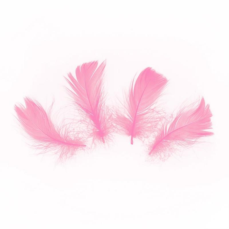 Spalvas rozā, 50 gab