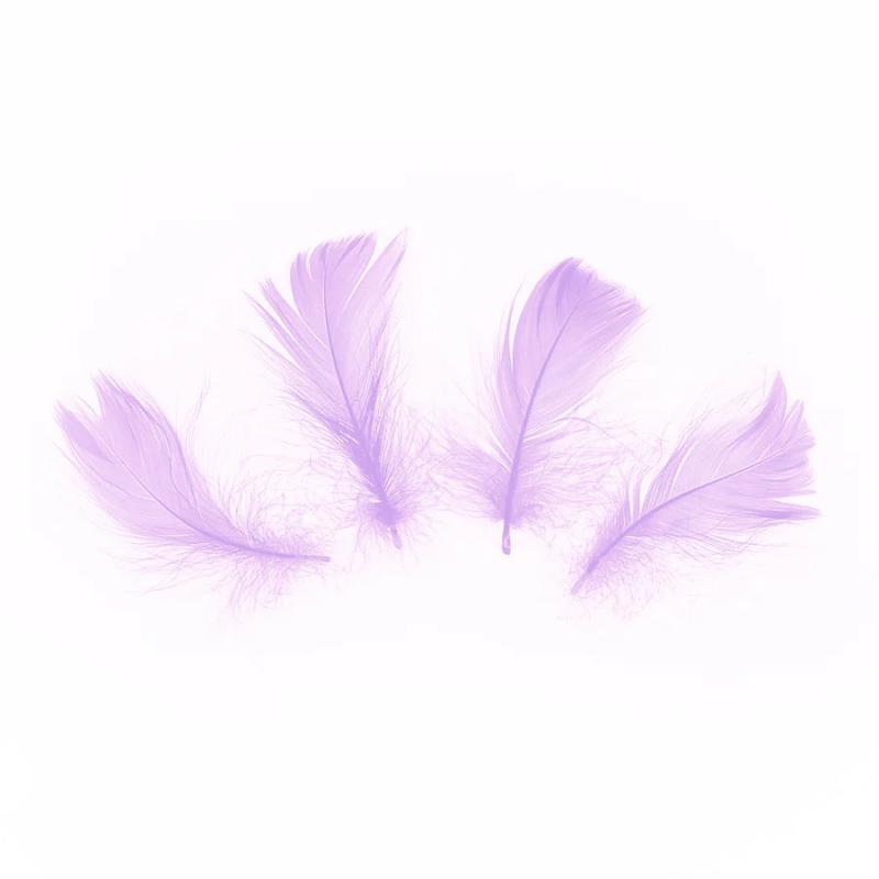 Spalvas lilla, 50 gab