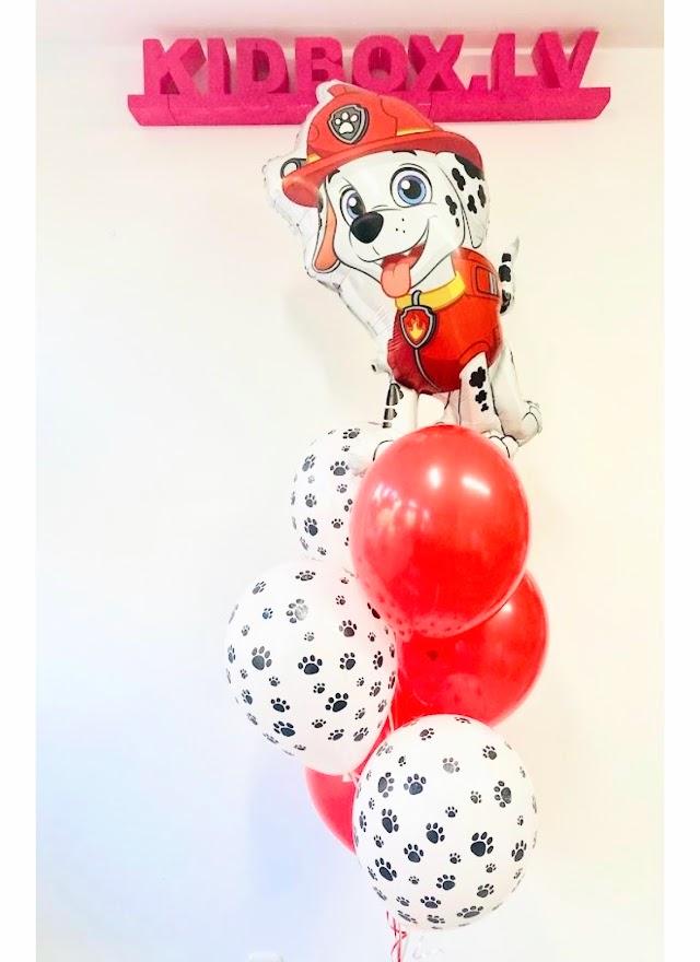 Balonu kompozīcija 131