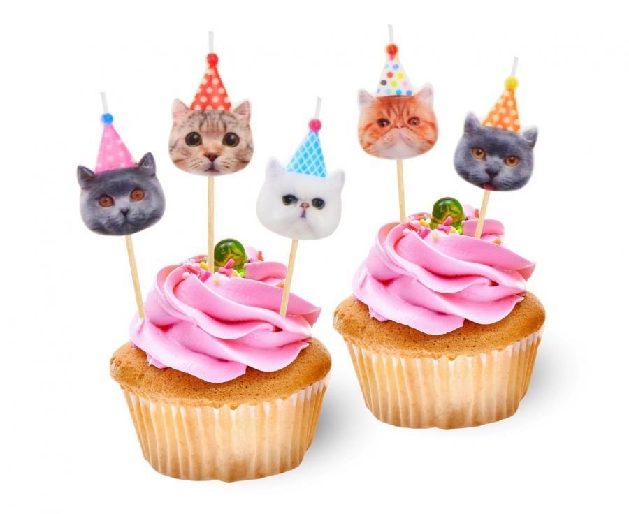 Svecītes "Cats" 5 gab