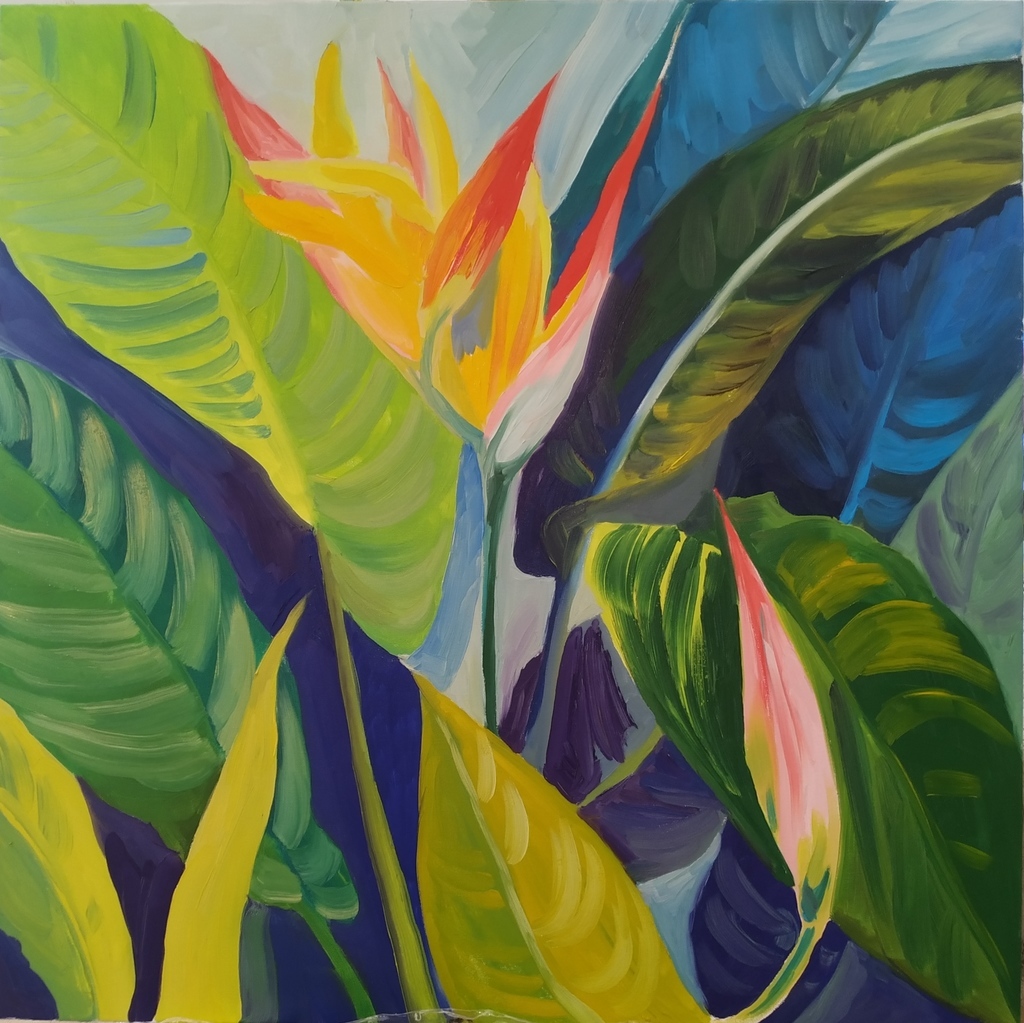 Tropics