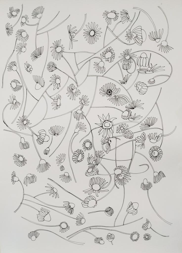 Daisies