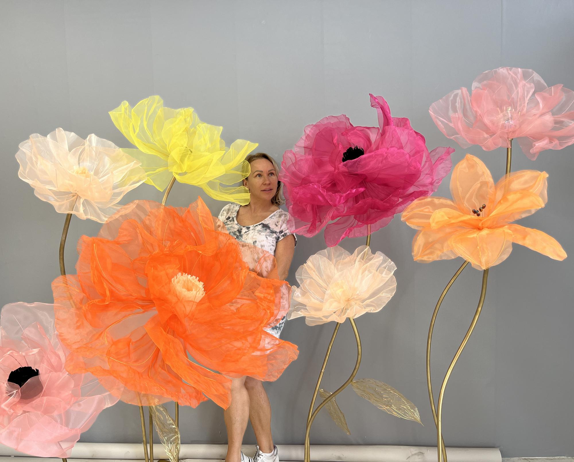 RENTAL SET #10  "COLOR BURST"