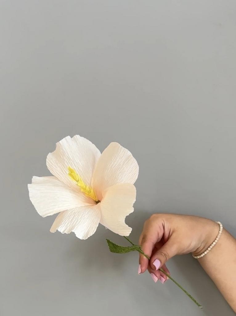 Paper Hibiscus