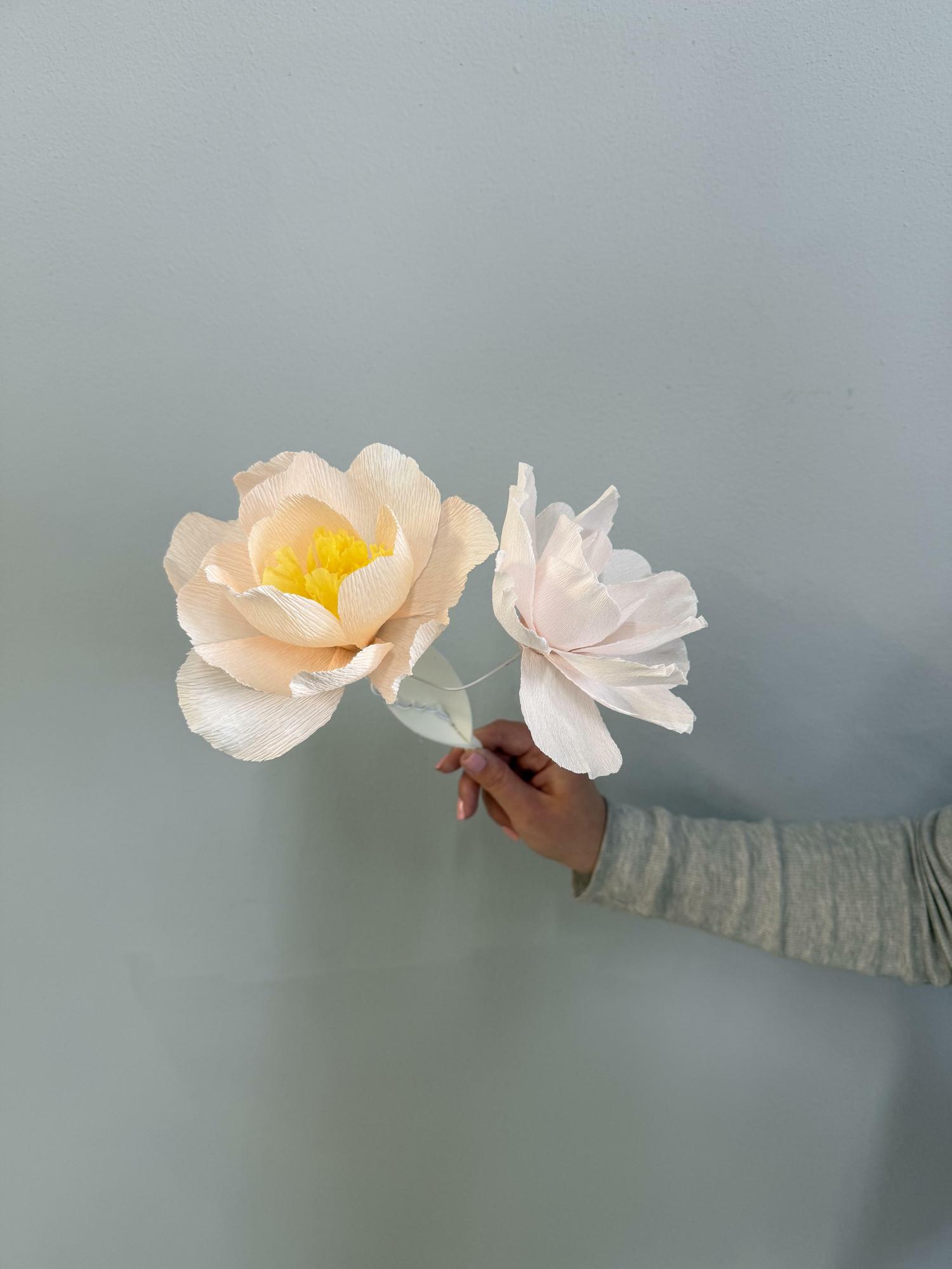 Paper daisy or a peony on a stem
