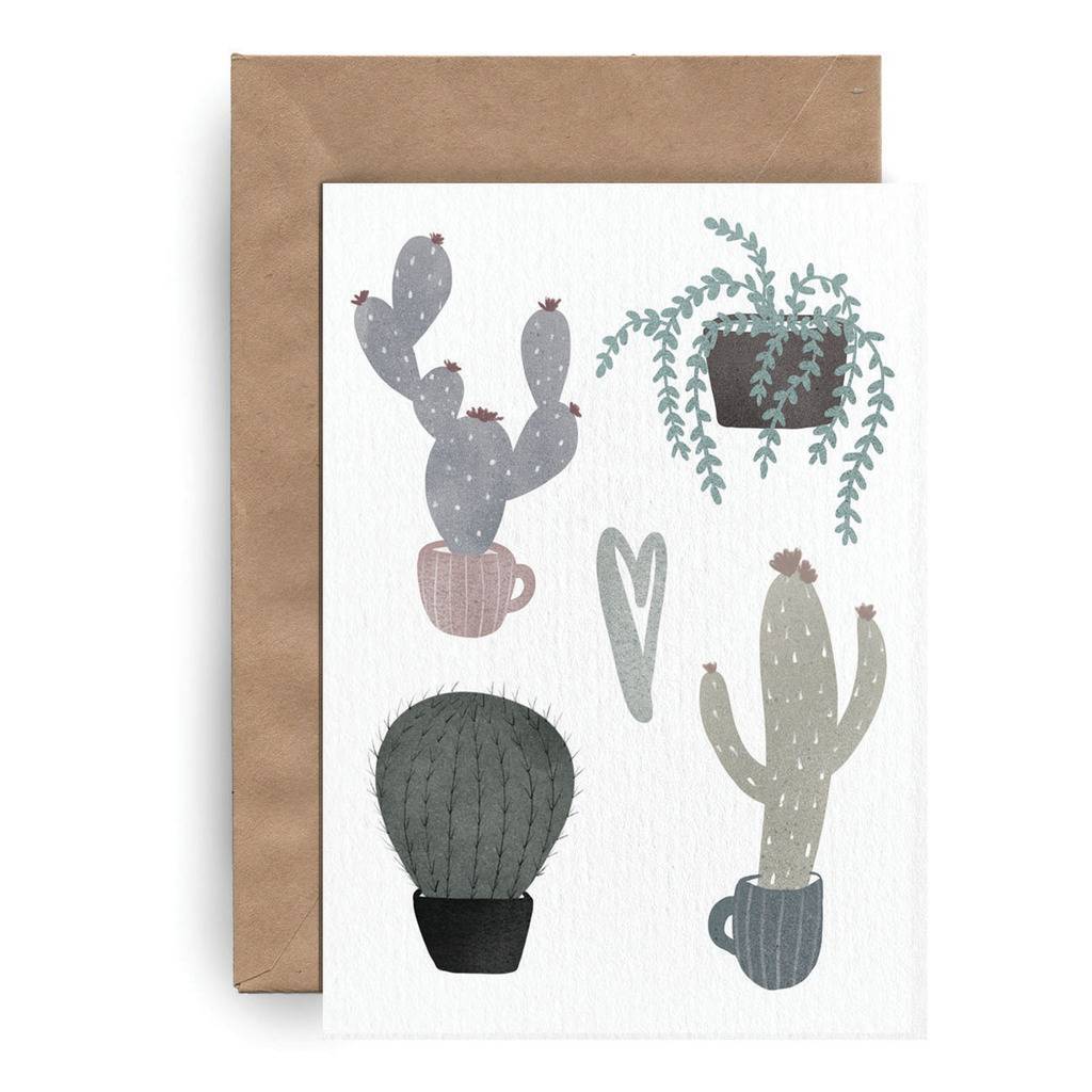 Postcard "Kakteen"