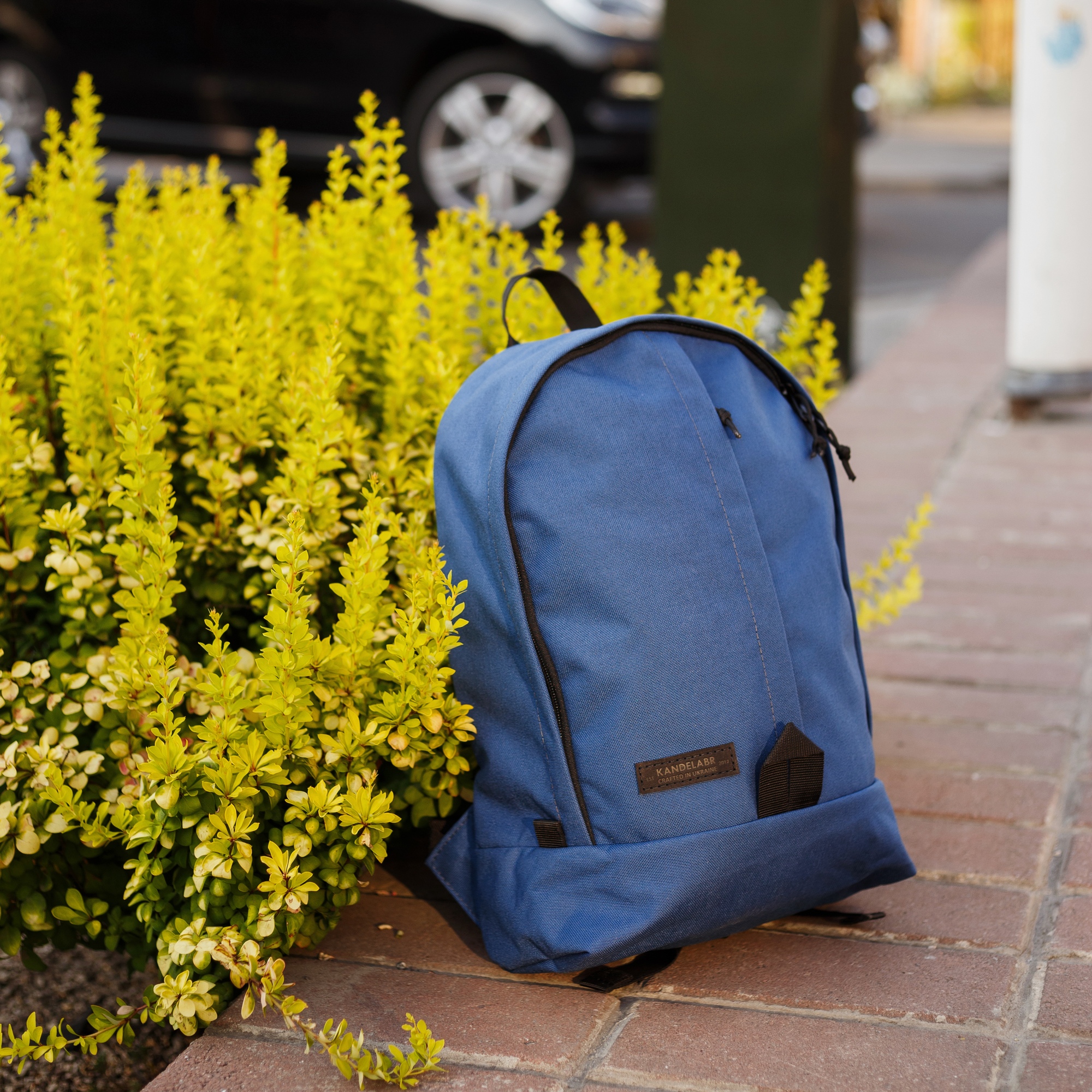 Рюкзак Daypack II Blue