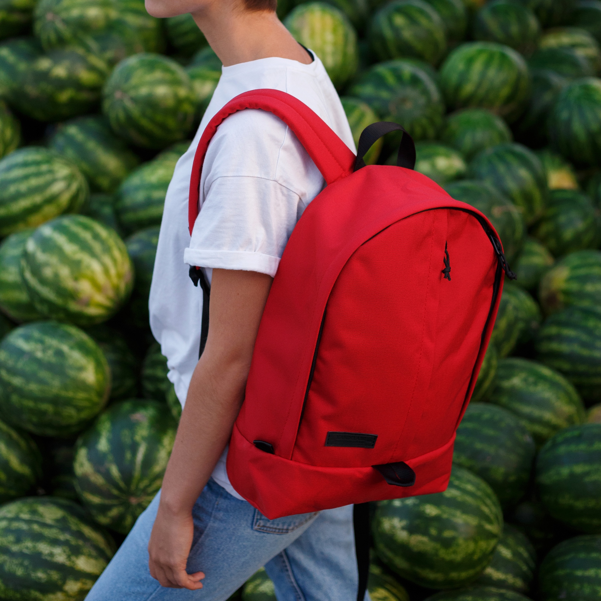 Рюкзак Daypack II Red