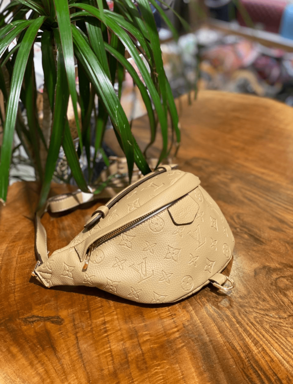 Bumbag Louis Vuitton поясная сумка Луи Виттон luxe Latte 47556