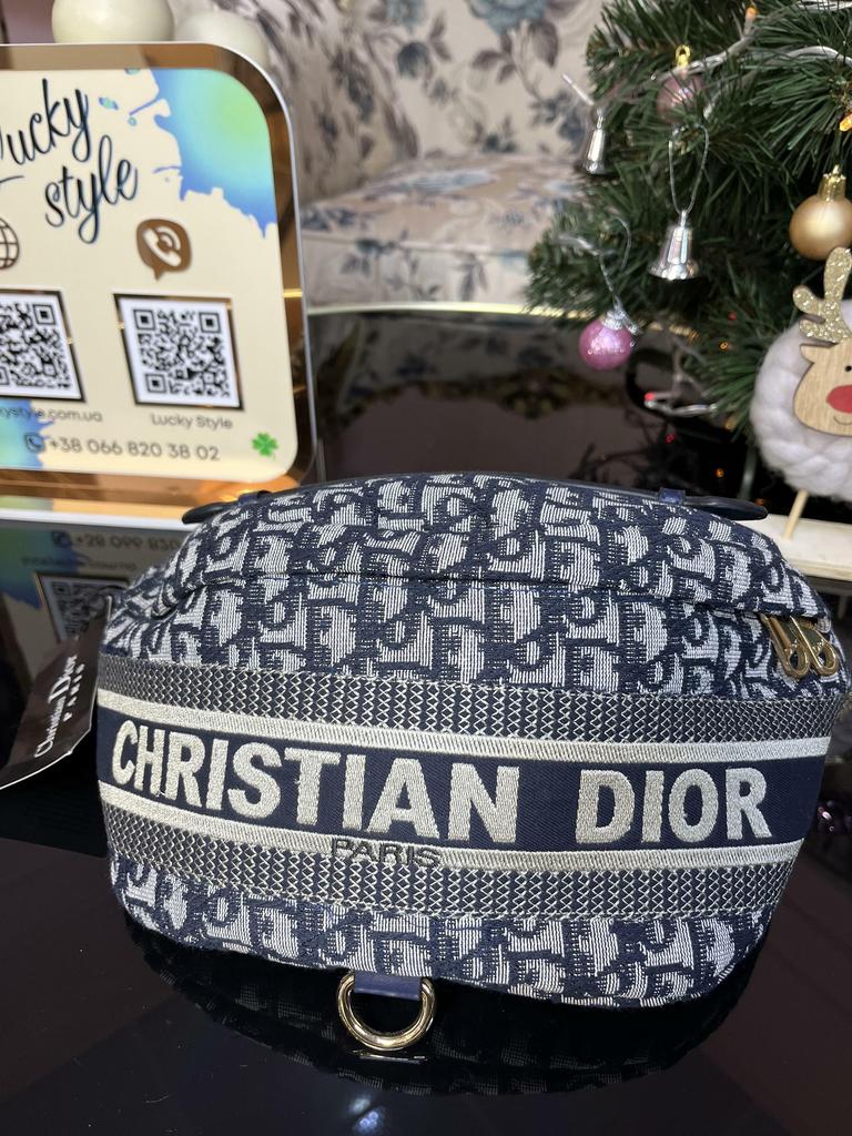 Поясная сумка Dior синяя 241125