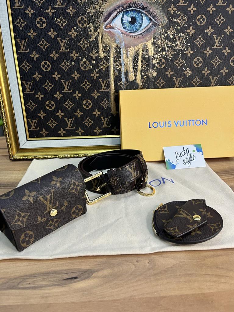 Louis Vuitton Daily Multi Pochette Ремень натуральная кожа 77865843